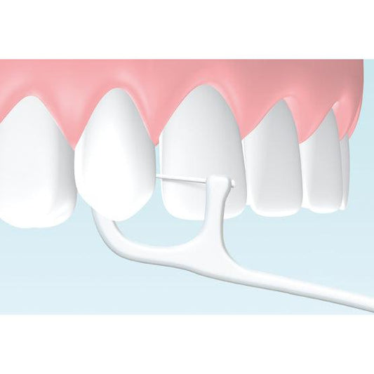 Hager & Werken Zahnpick® Tandenstoker / Floss combinatie (100 st.)-Hager & Werken-Sordent