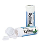 Xylitol Chewing Gum / Kauwgom - Diverse Smaken - (30 st./Display)-Hager & Werken-Pepermunt-Sordent