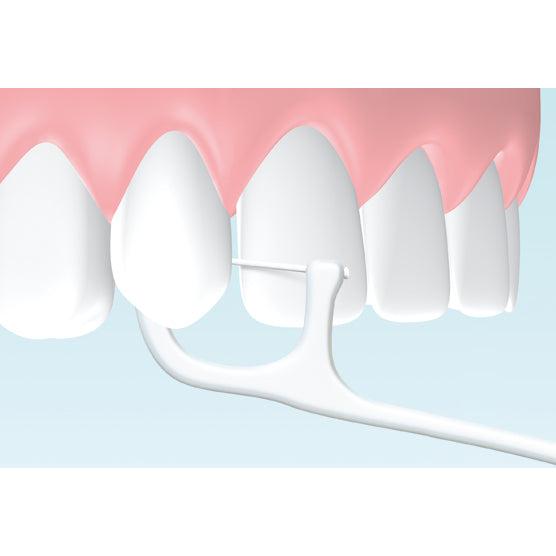Hager & Werken Zahnpick® Tandenstoker / Floss combinatie (100 st.)-Hager & Werken-Sordent