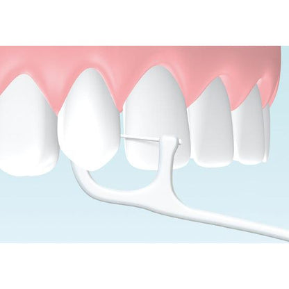 Hager & Werken Zahnpick® Tandenstoker / Floss combinatie (100 st.)-Hager & Werken-Sordent