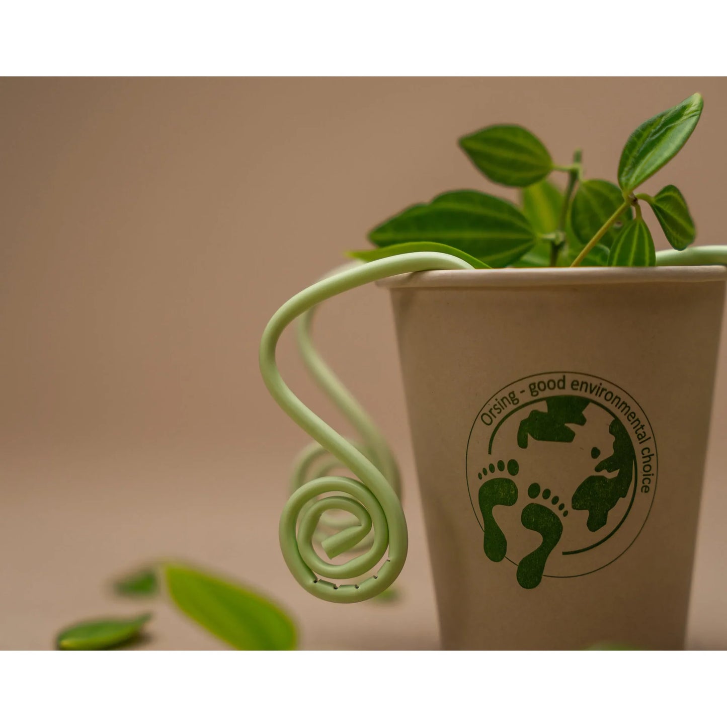 Orsing Bamboo Bio Papieren Drinkbeker 210 mL-Drinkbekers-Orsing-Sordent