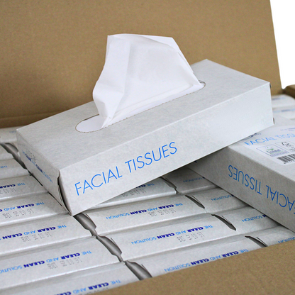 KURTT Facial Tissues 2-Laags 20x20 cm (40 x 100 st.)-KURTT-Sordent