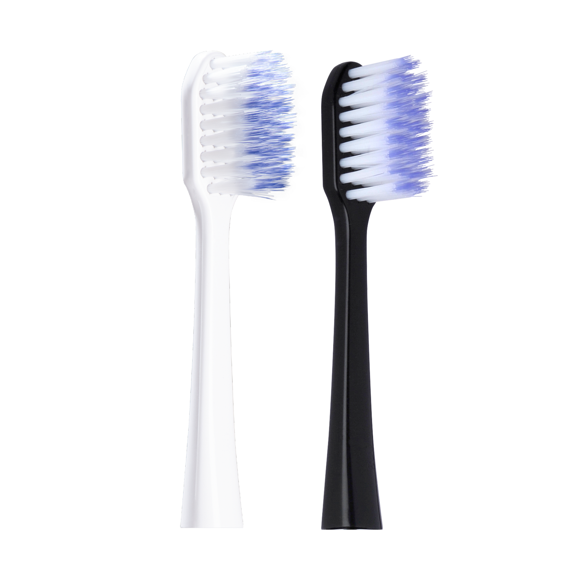 GUM® SONIC DAILY opzetborstel Zwart / Wit-GUM-Sordent