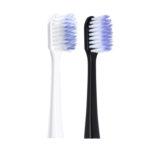 GUM® SONIC DAILY opzetborstel Zwart / Wit-GUM-Sordent